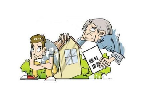 房产新人如何通过信息咨询服务成功售房 从入门到精通的完整指南